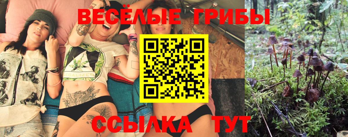 Омск  Галлюциногенные грибы мицелий  Вход с VPN 